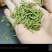 【拍品名称】龙井茶【拍品重量】250克【拍品介绍】龙