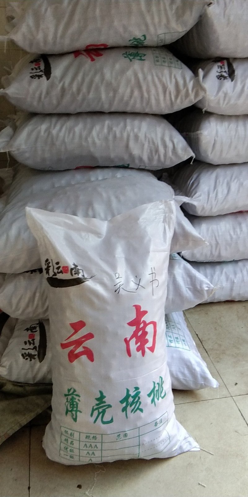 云南漾濞白皮大麻子32以上的大果10一公斤，运费35元袋