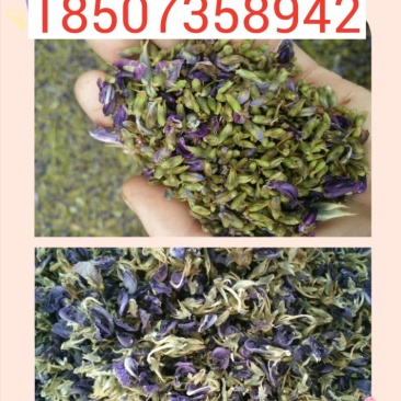 葛花