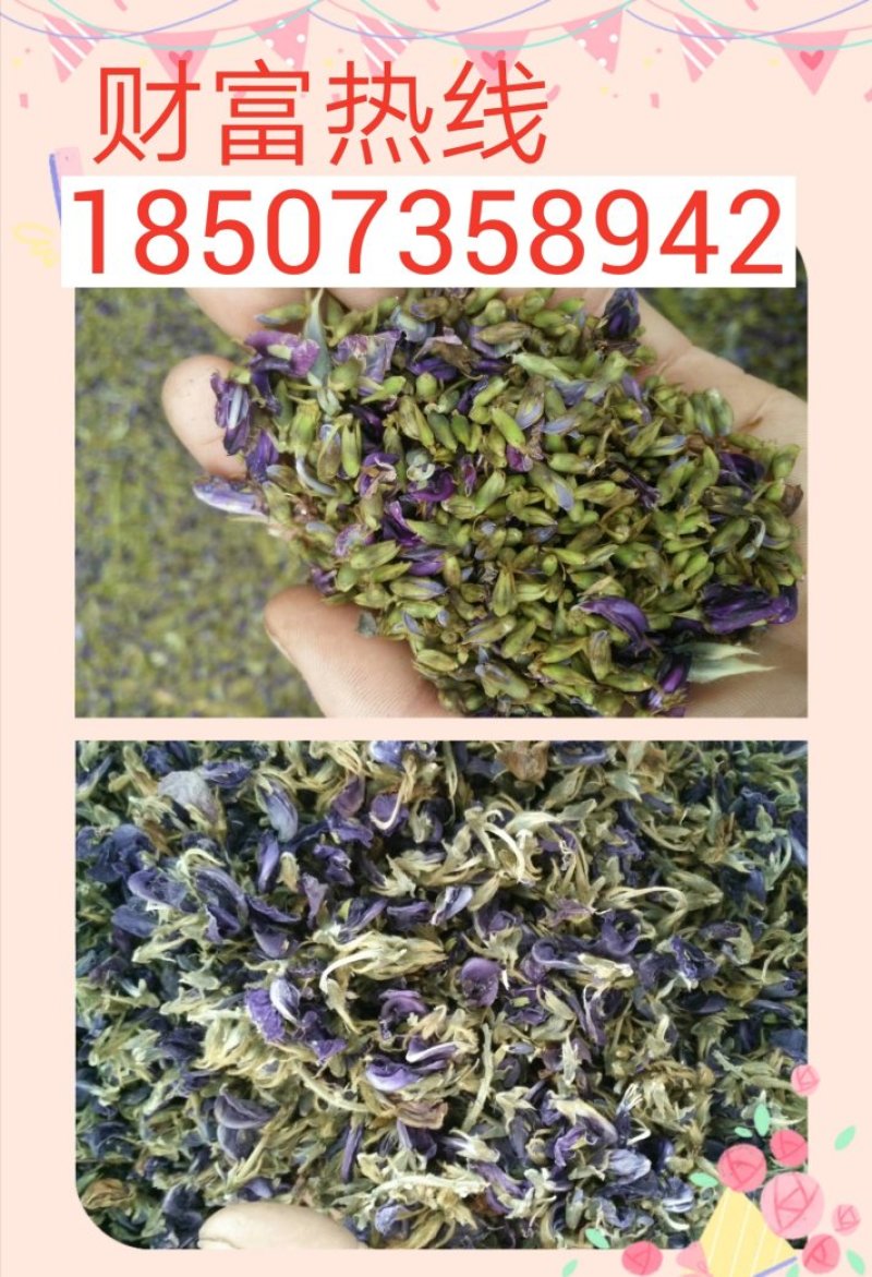 葛花