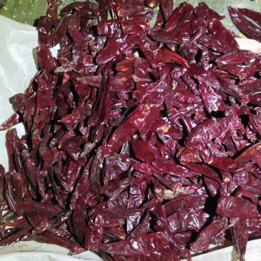 北京红干辣椒花皮质量保证