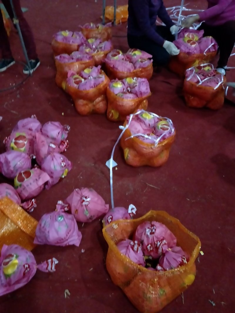 精品红心柚/白柚/皮薄/果肉无核/肉软多汁，量大从优