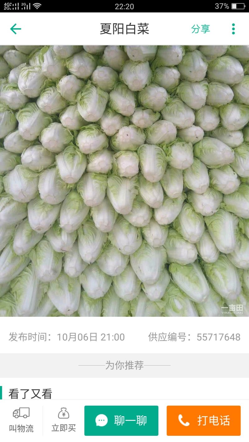 水果萝卜大量上市了，