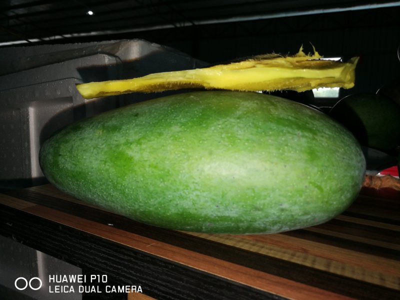 大青芒