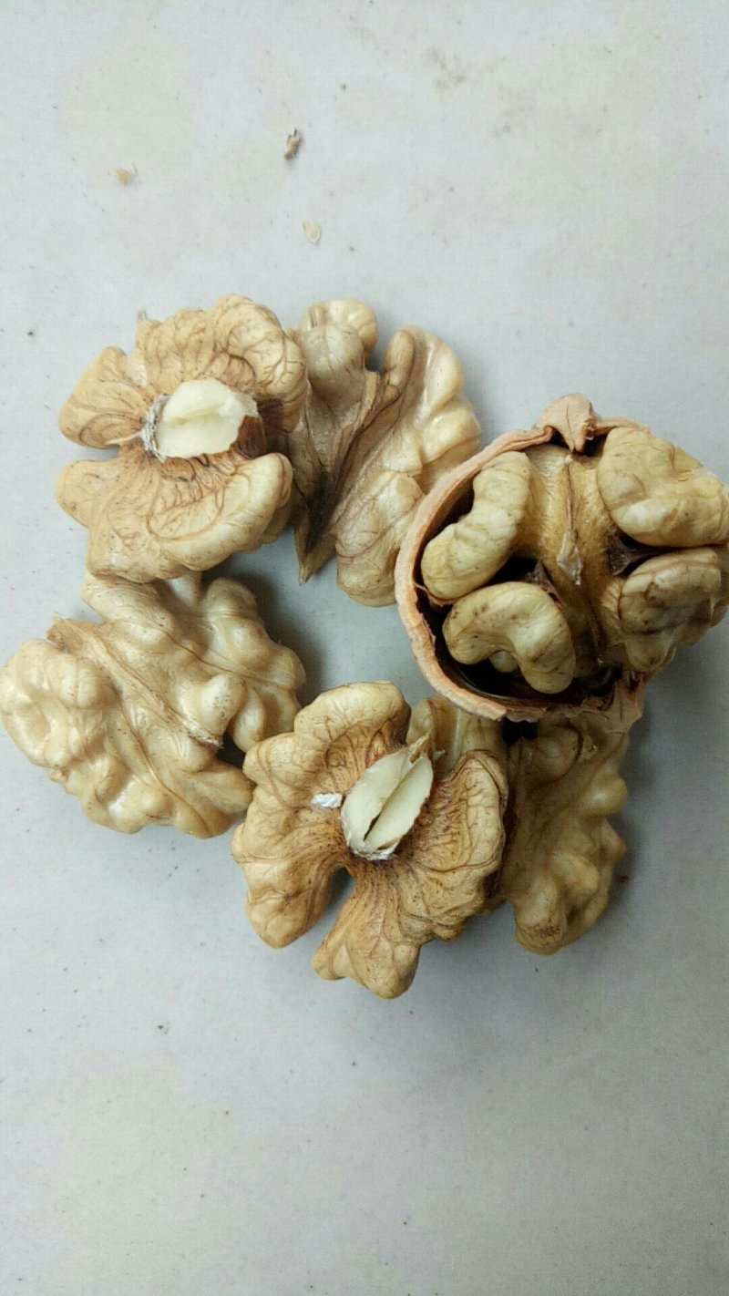 核桃仁