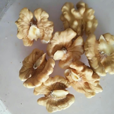 核桃仁