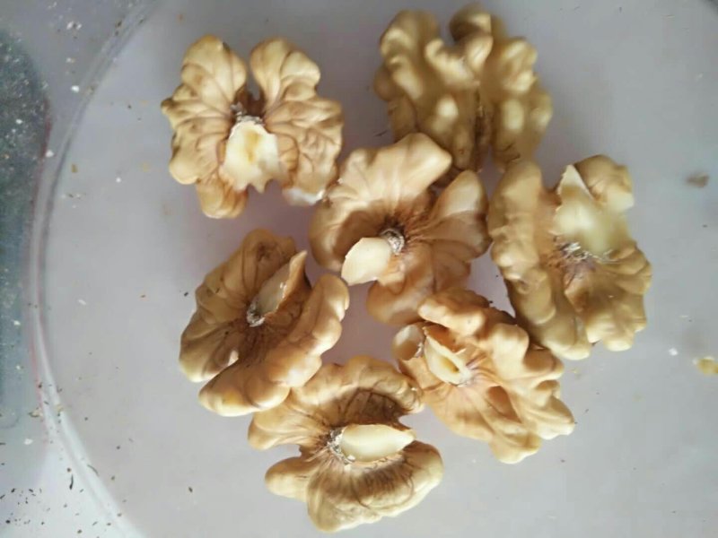 核桃仁