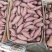 大量供应黄沙土地红薯品种有，西瓜红、商薯19、龙九、紫薯