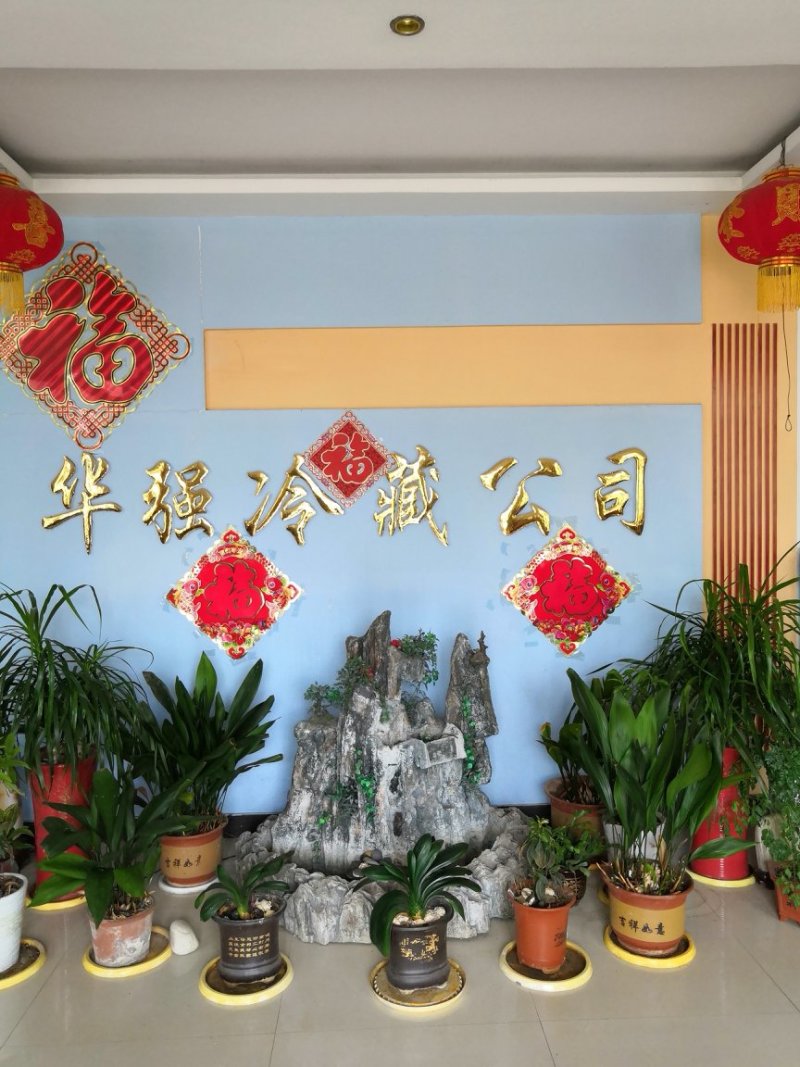 紫皮洋葱优质扁葱紫皮洋葱销售中货源充足欢迎采购