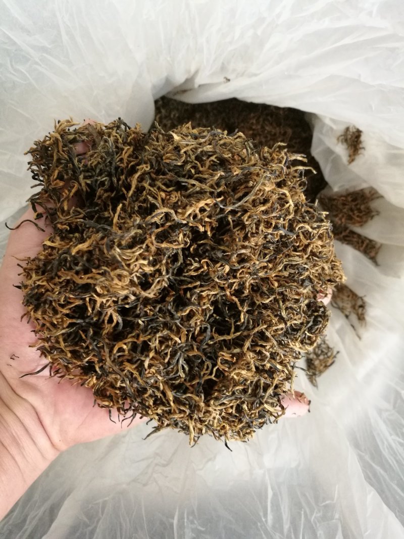 金骏眉高山明前新茶小种清香醇和散装企业礼盒装大量供应
