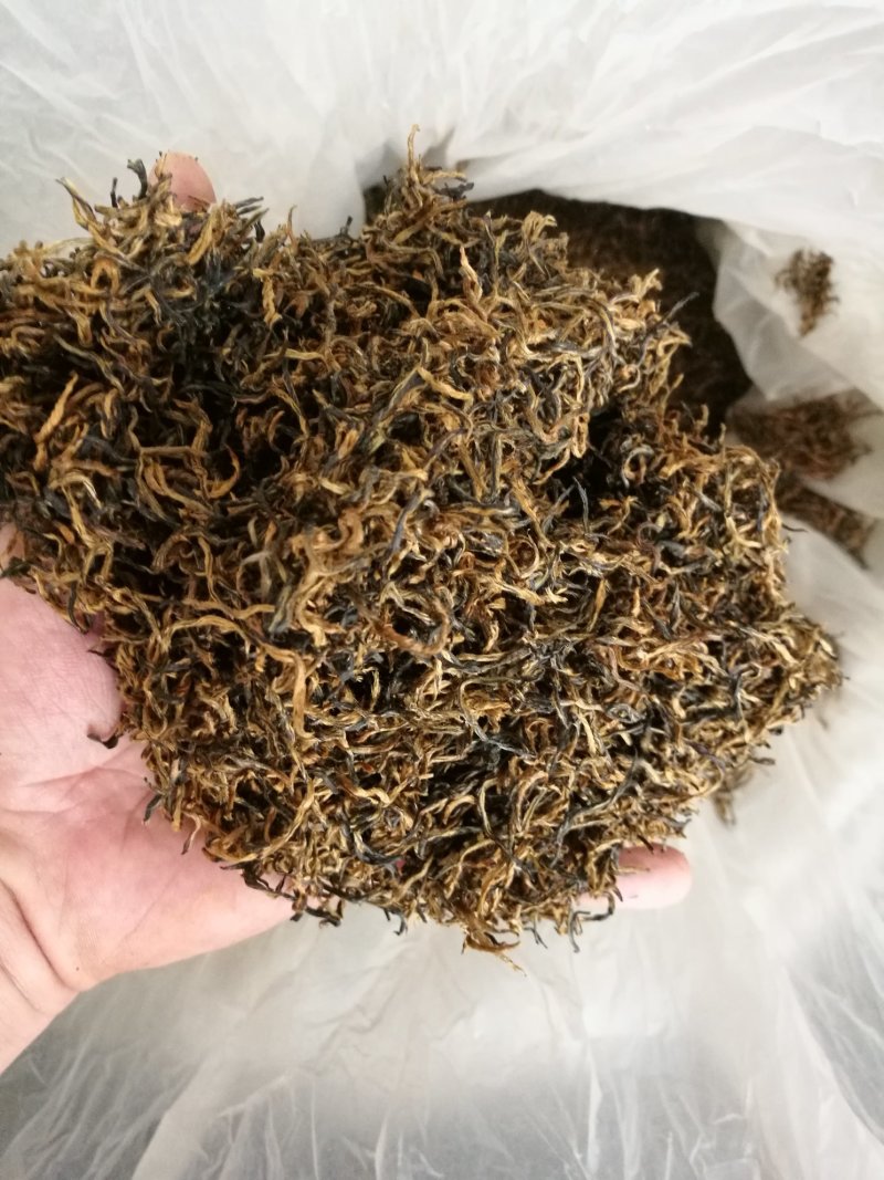 金骏眉高山明前新茶小种清香醇和散装企业礼盒装大量供应