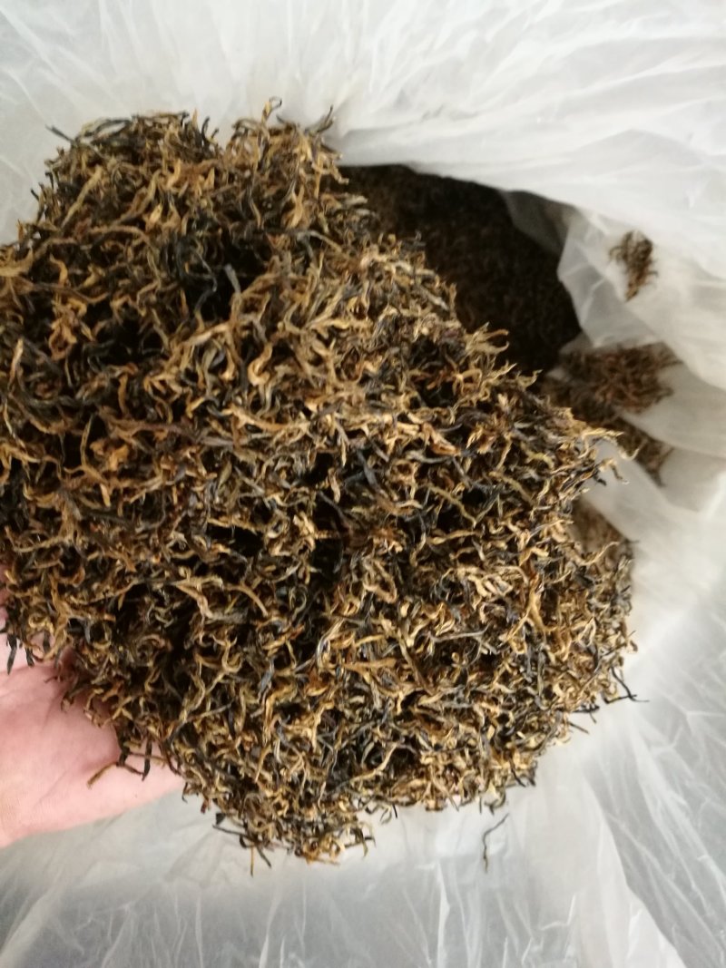 金骏眉高山明前新茶小种清香醇和散装企业礼盒装大量供应