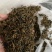 金骏眉高山明前新茶小种清香醇和散装企业礼盒装大量供应