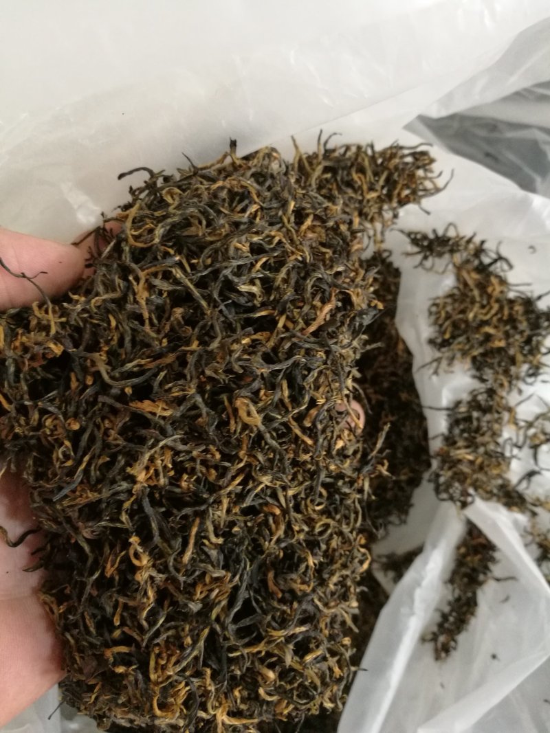 金骏眉高山明前新茶小种清香醇和散装企业礼盒装大量供应