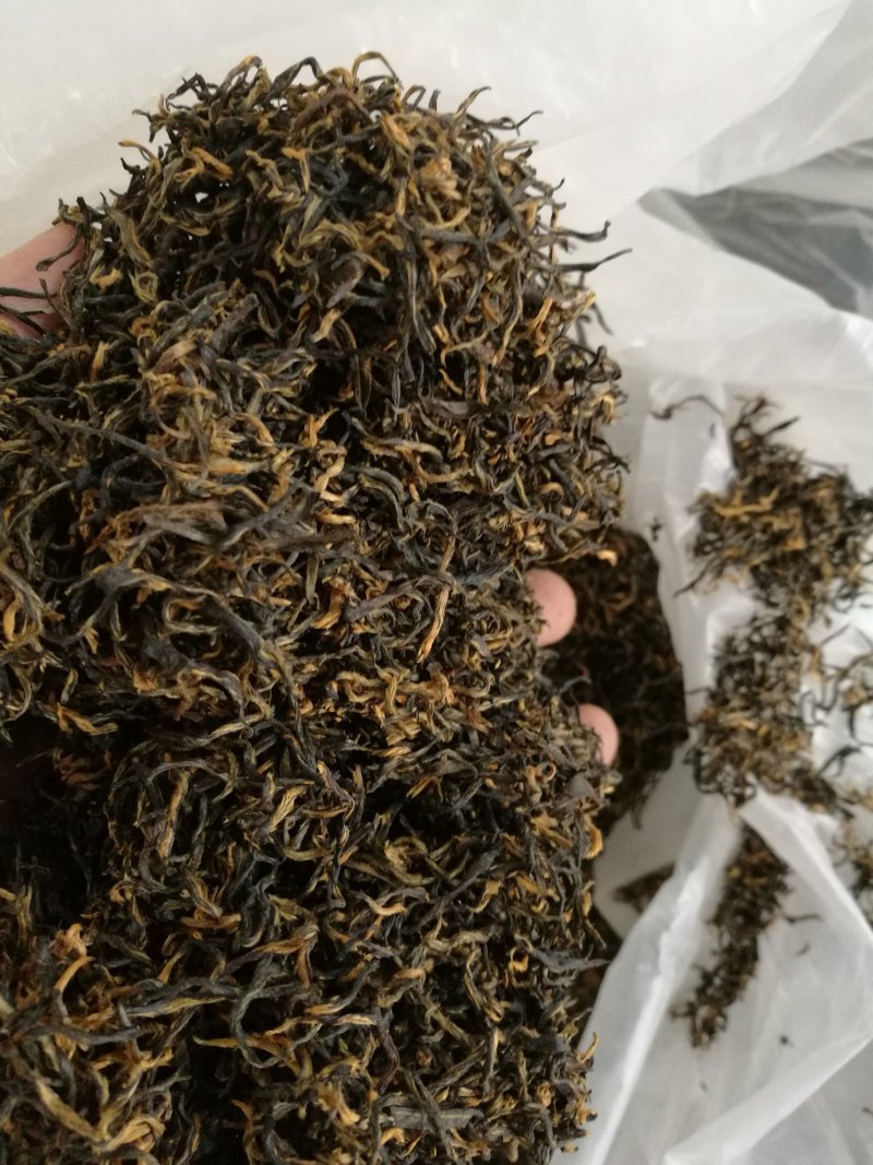 金骏眉高山明前新茶小种清香醇和散装企业礼盒装大量供应