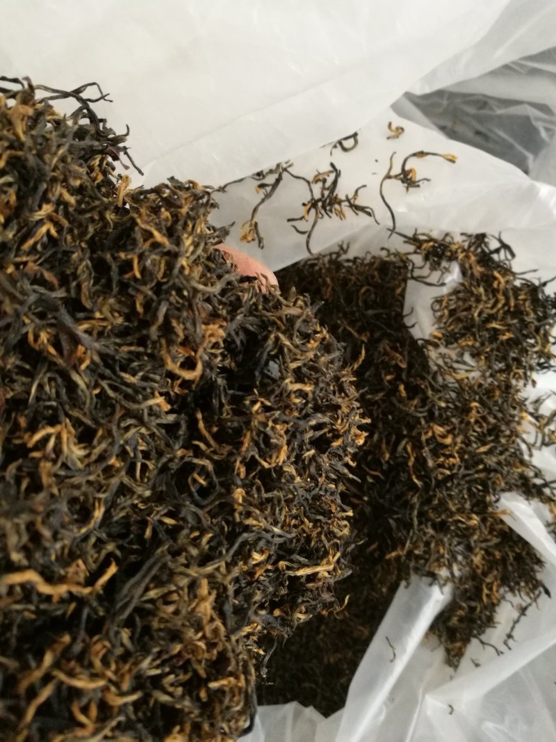 金骏眉高山明前新茶小种清香醇和散装企业礼盒装大量供应