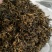 金骏眉高山明前新茶小种清香醇和散装企业礼盒装大量供应