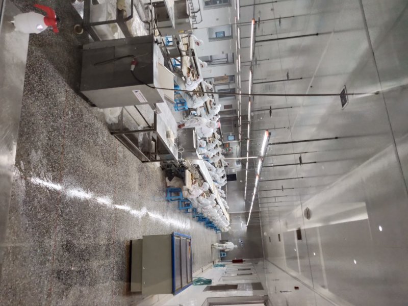 鲁海西葫芦鸡蛋素水饺手工海鲜饺子面食海捕水产品包制