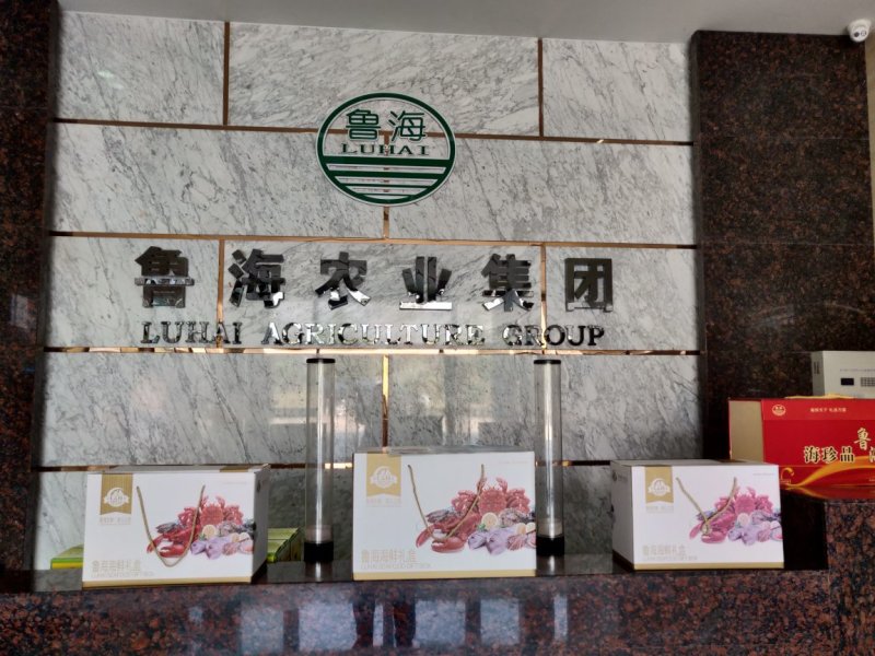 鲁海西葫芦鸡蛋素水饺手工海鲜饺子面食海捕水产品包制