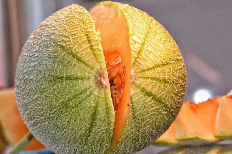 大量供应哈蜜瓜通货