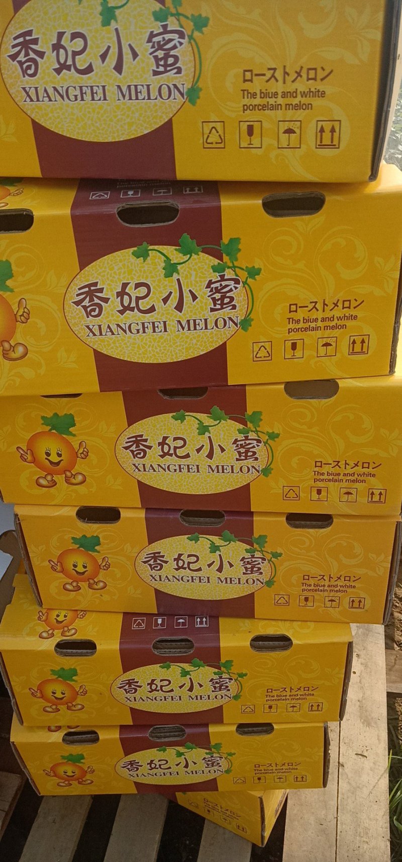 大量供应哈蜜瓜通货