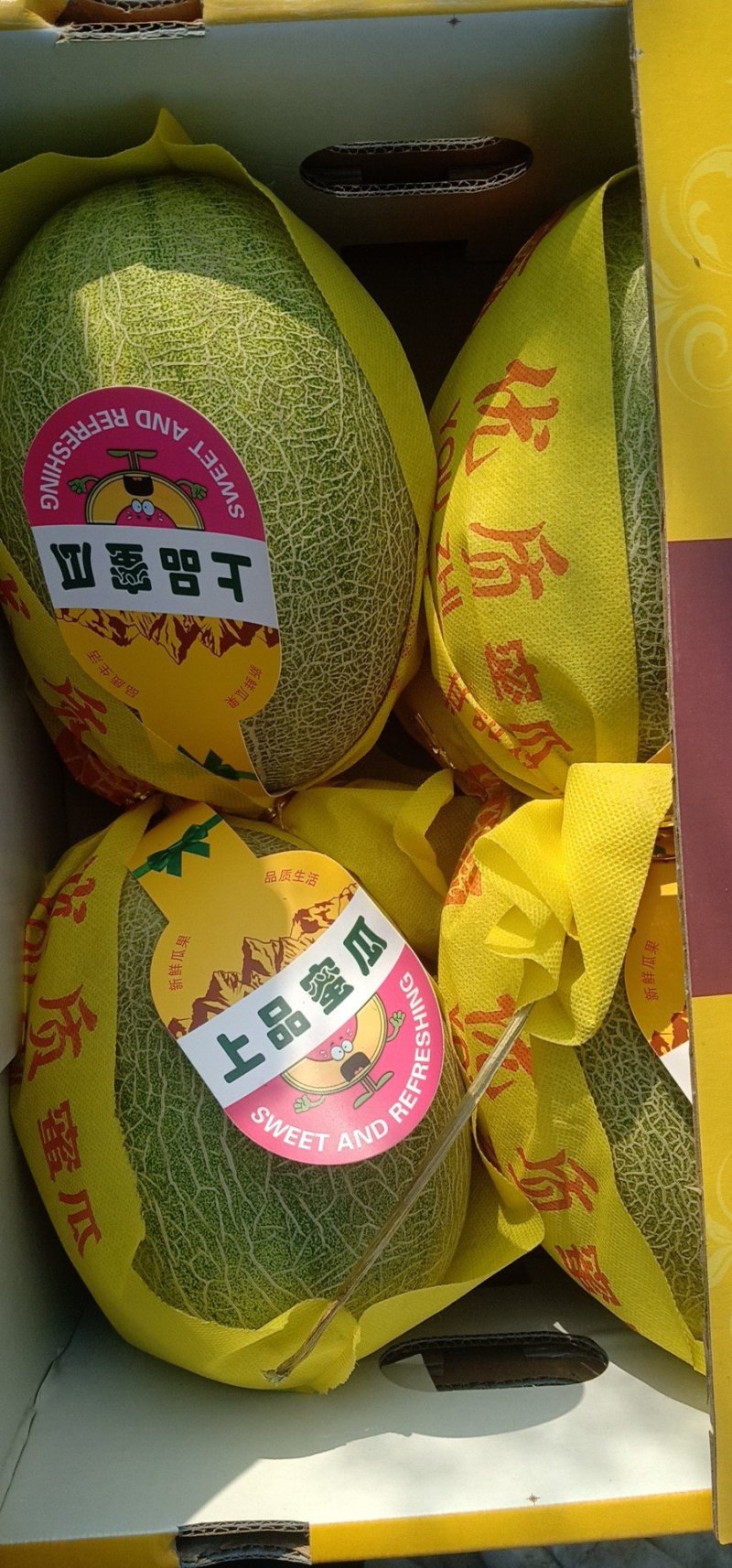 大量供应哈蜜瓜通货