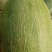大量供应哈蜜瓜通货