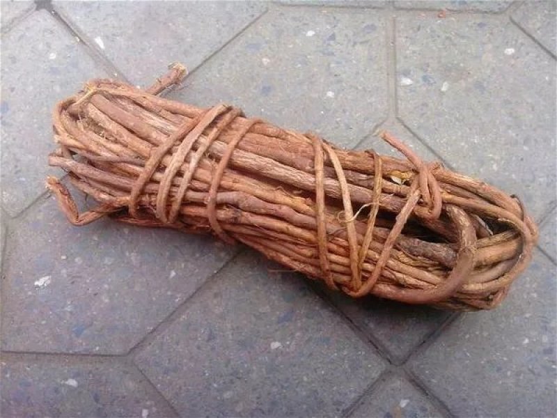 甘草