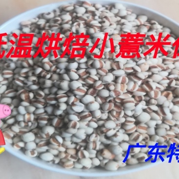 低温烘焙软壳小薏米