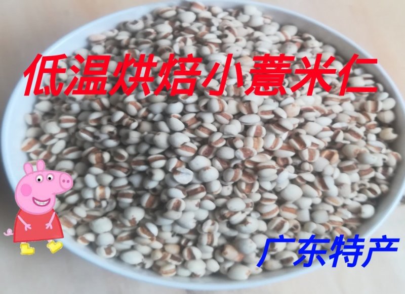 低温烘焙软壳小薏米