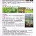 生根粉