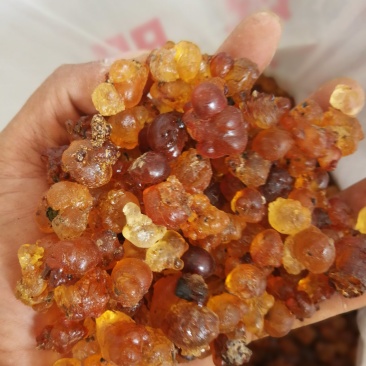 珍珠小颗粒