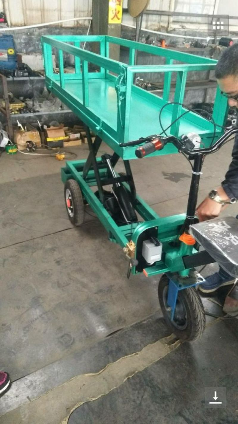 名称:温室，货物，运输专用电动车