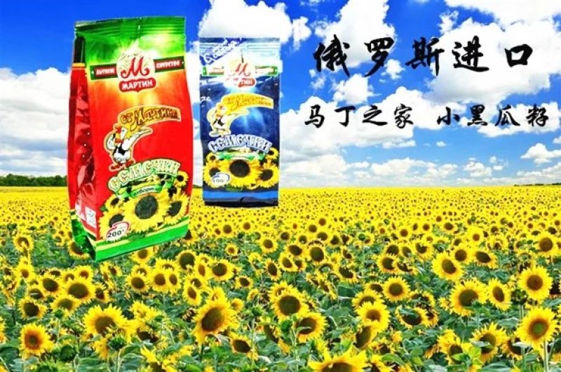 俄罗斯原装进口小黑瓜子原味瓜子咸味瓜子新年瓜子婚宴年货