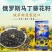 俄罗斯原装进口小黑瓜子原味瓜子咸味瓜子新年瓜子婚宴年货