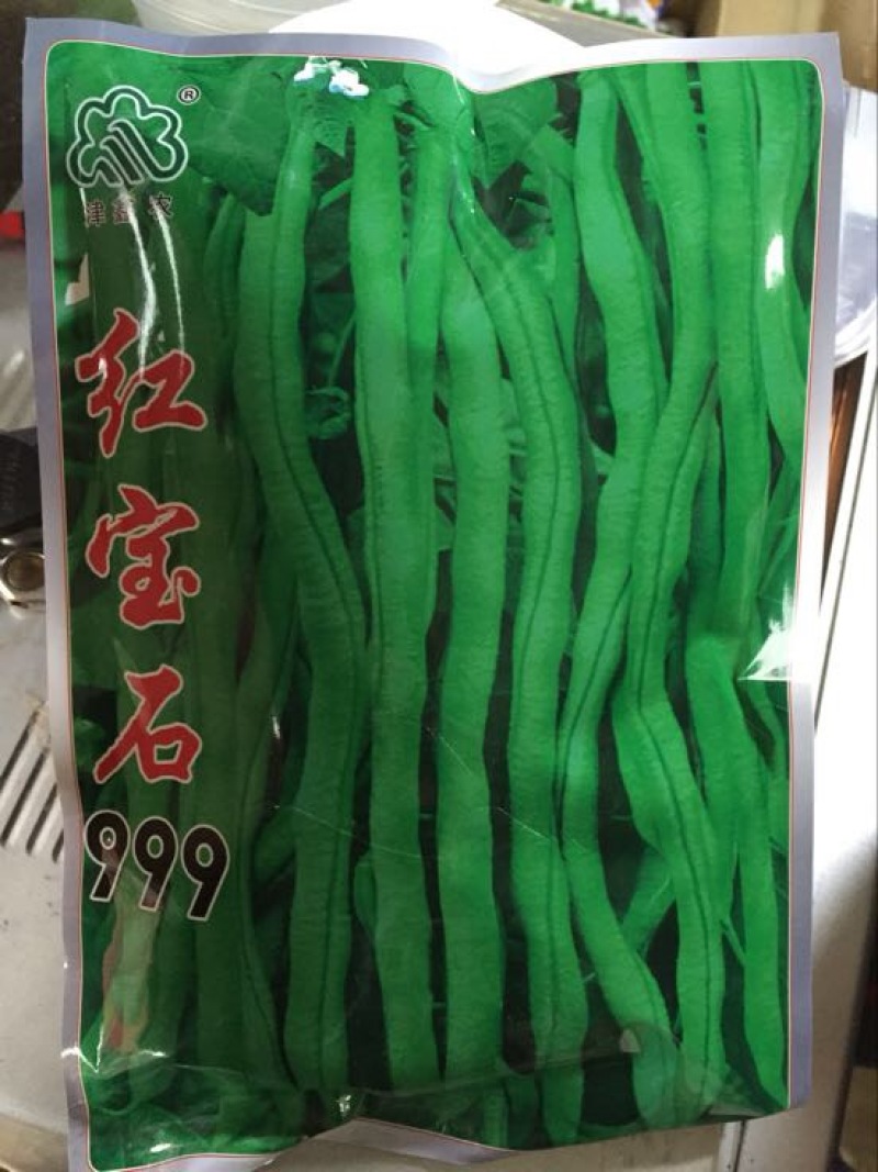 无筋豆种子