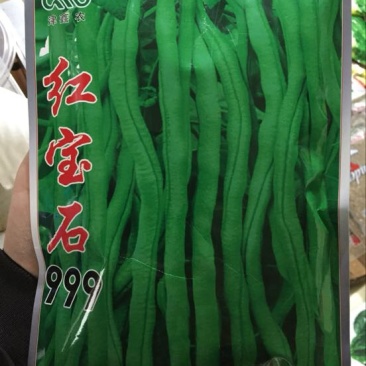 无筋豆种子