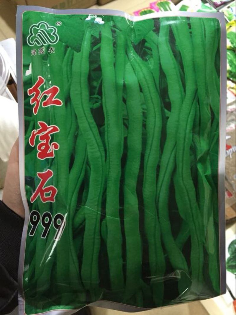 无筋豆种子