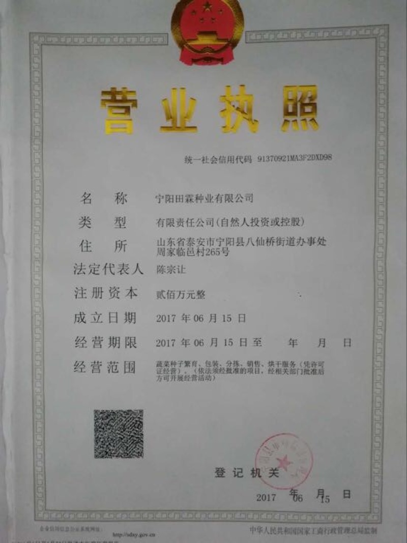 无筋豆种子