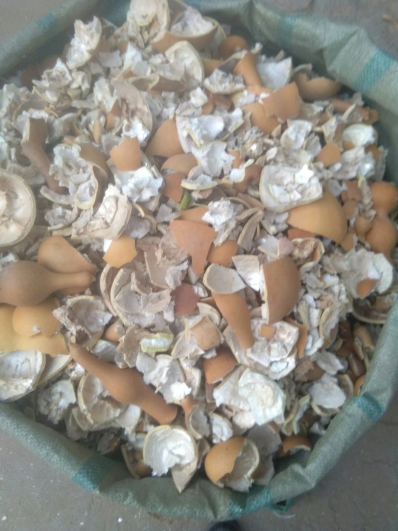 药用葫芦壳