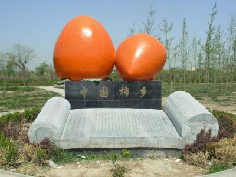 陕西富平柿饼