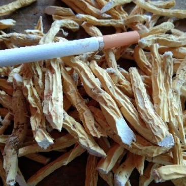 牛大力干货鲜货，规格齐全货原充足需要的，