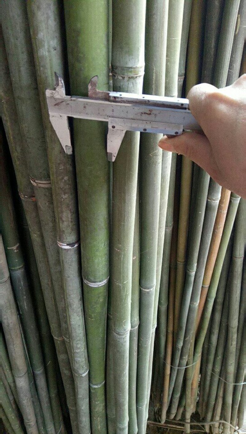 菜架竹竿