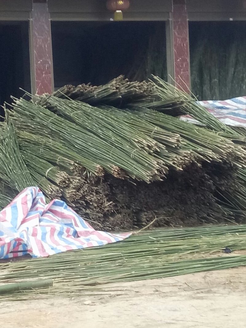 菜架竹竿