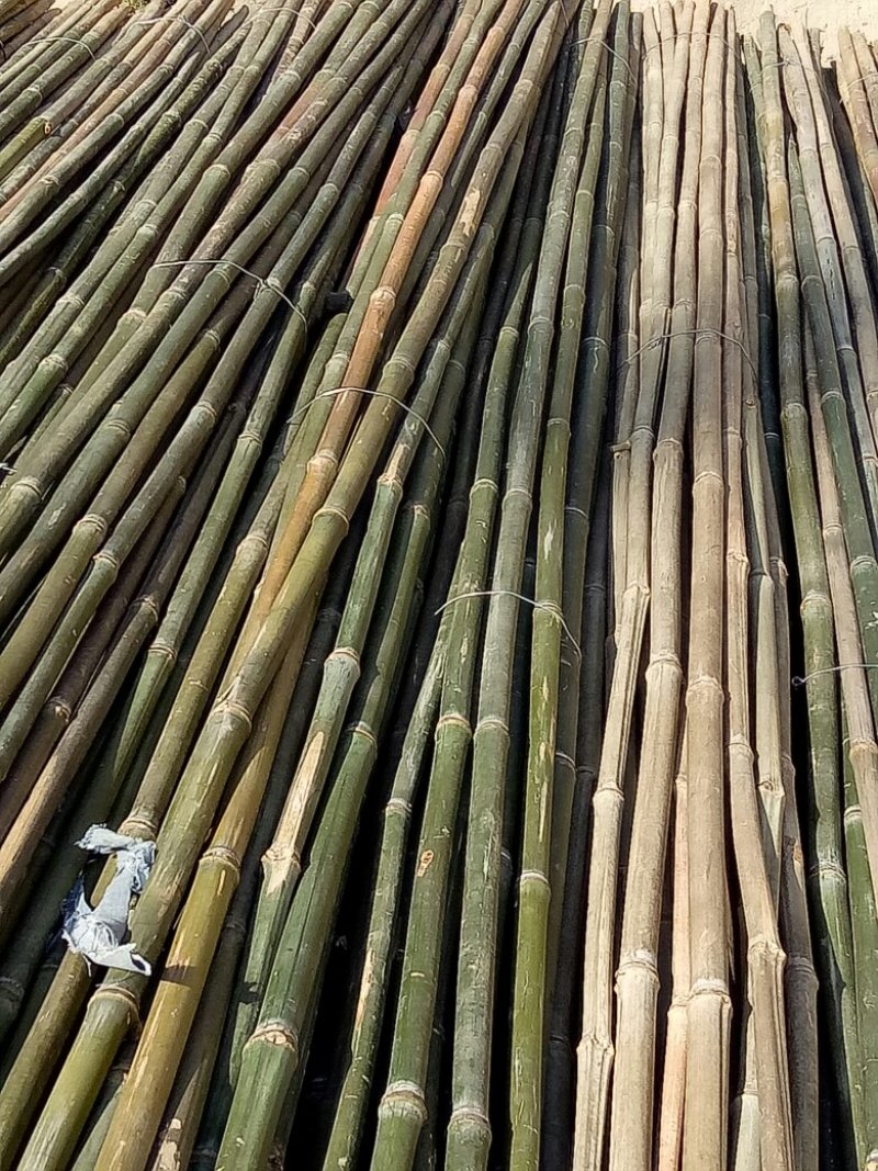 菜架竹竿