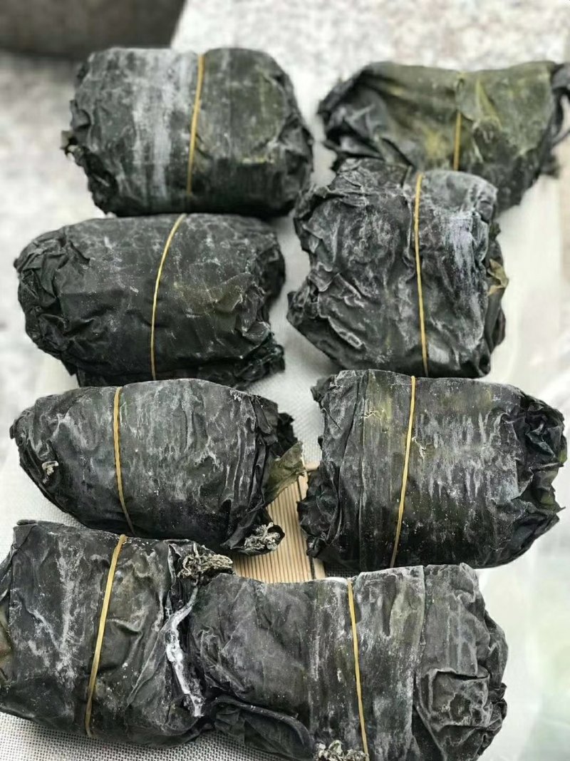 新鲜海带干
