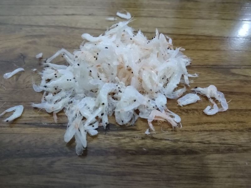 淡干虾皮