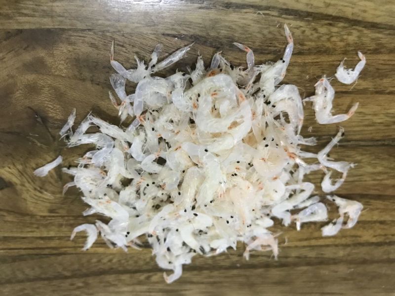 淡干虾皮