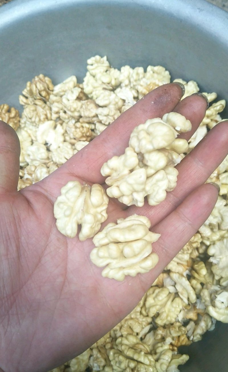 核桃仁