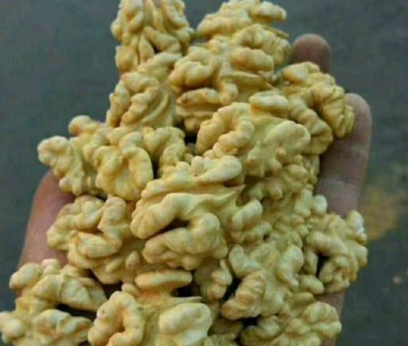 核桃仁